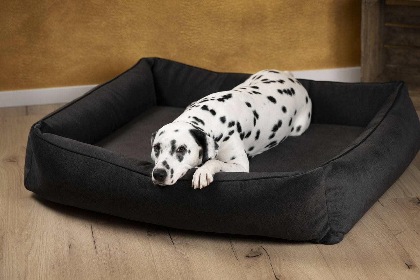 ORTHO Hundebett - BUFFALO