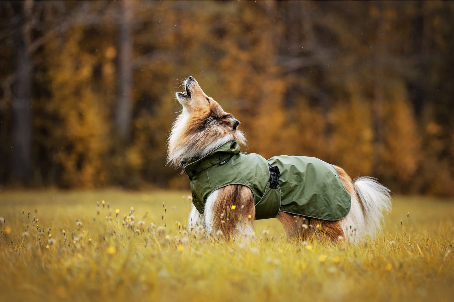 Regenjacke Streamy eco, green