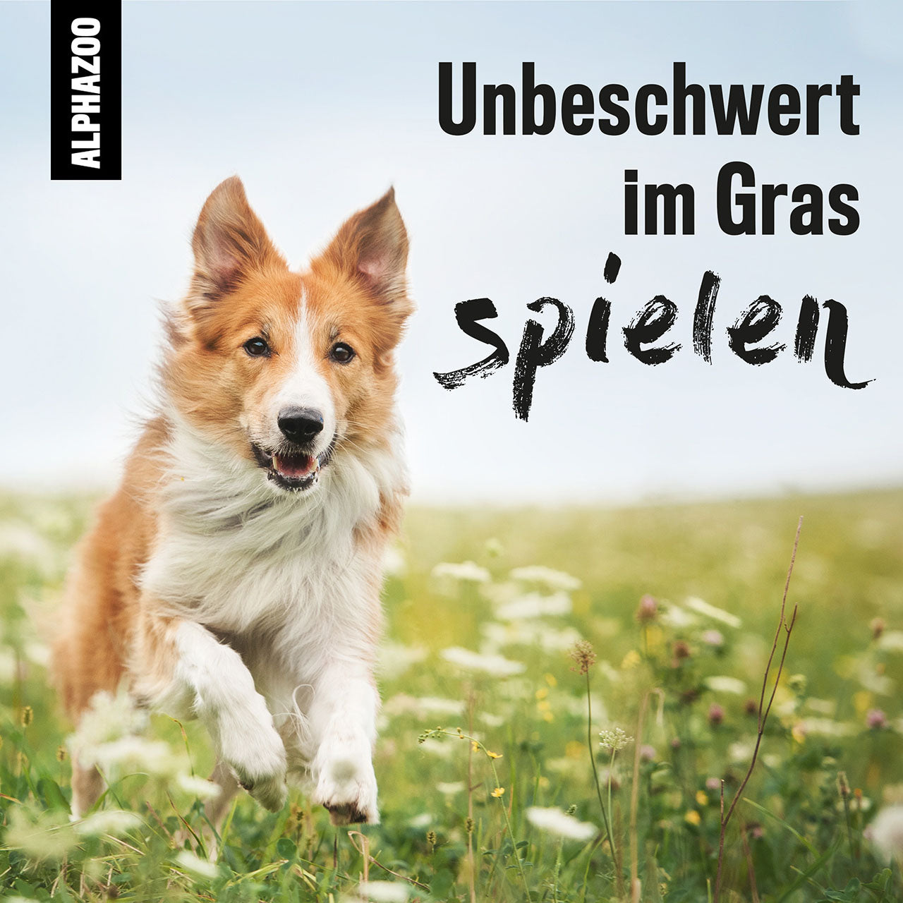 ABGEGRAST GRASMILBEN SPRAY FÜR HUNDE & KATZEN,STARKES MITTEL GEGEN MILBEN