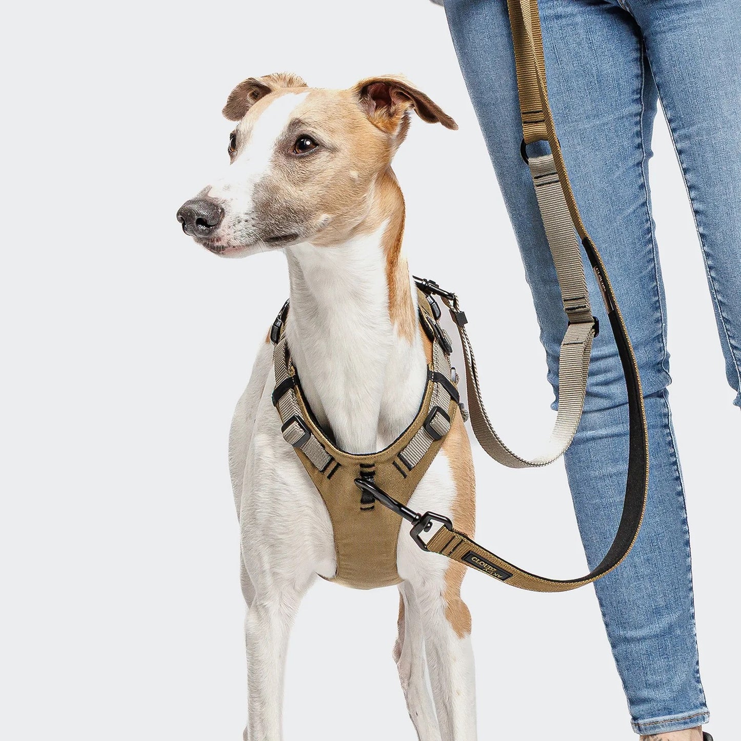 L-1 Freihandleine AKTIV Khaki/Grey