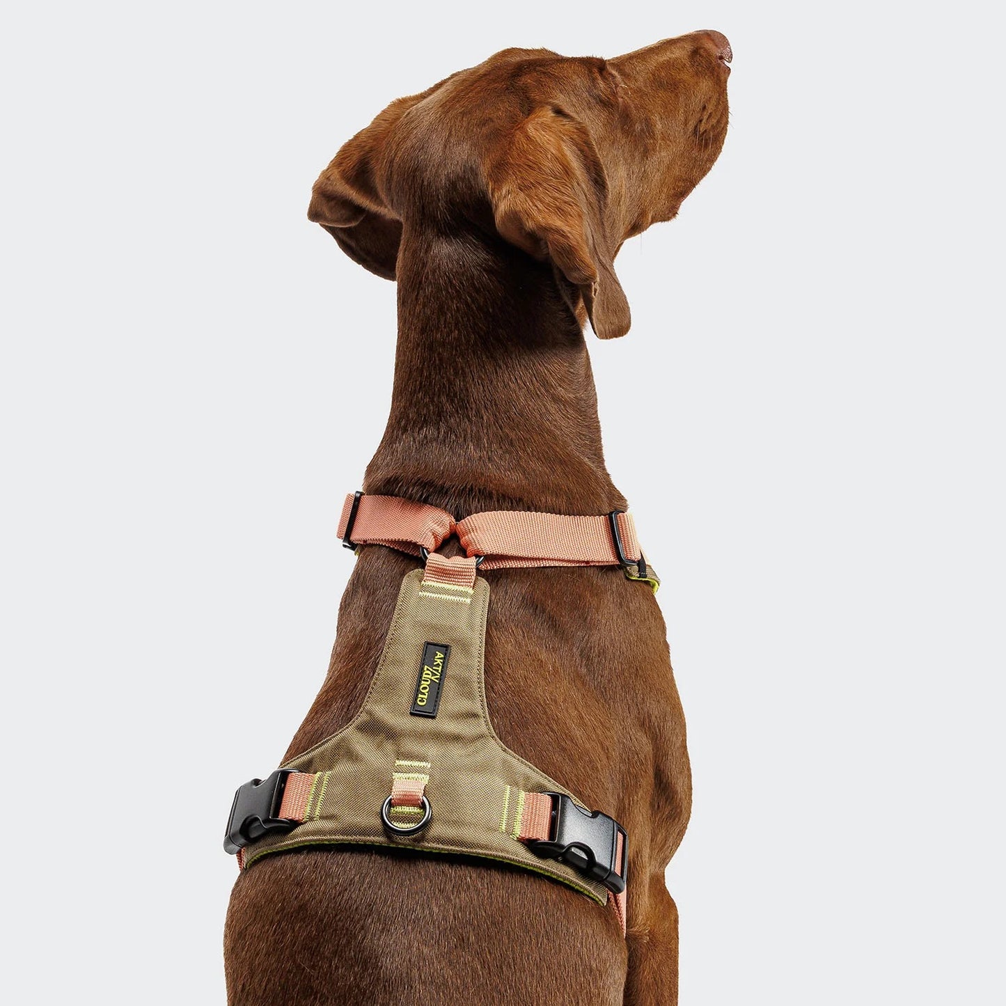 Y-2 Geschirr AKTIV Cordura Peach