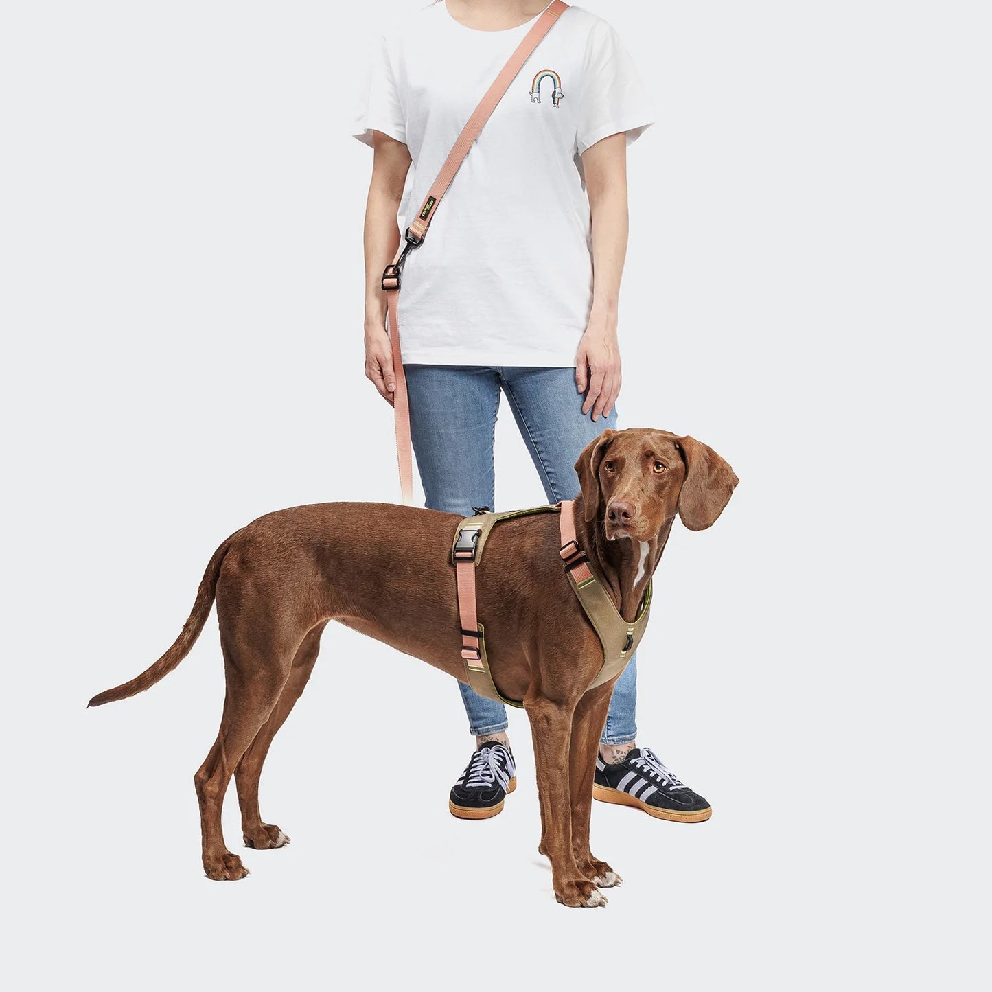 Y-2 Geschirr AKTIV Cordura Peach