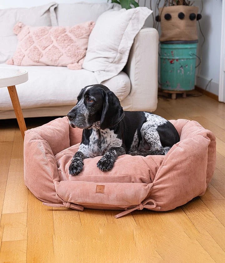 Hundebett: Ronny Cord - Charocal