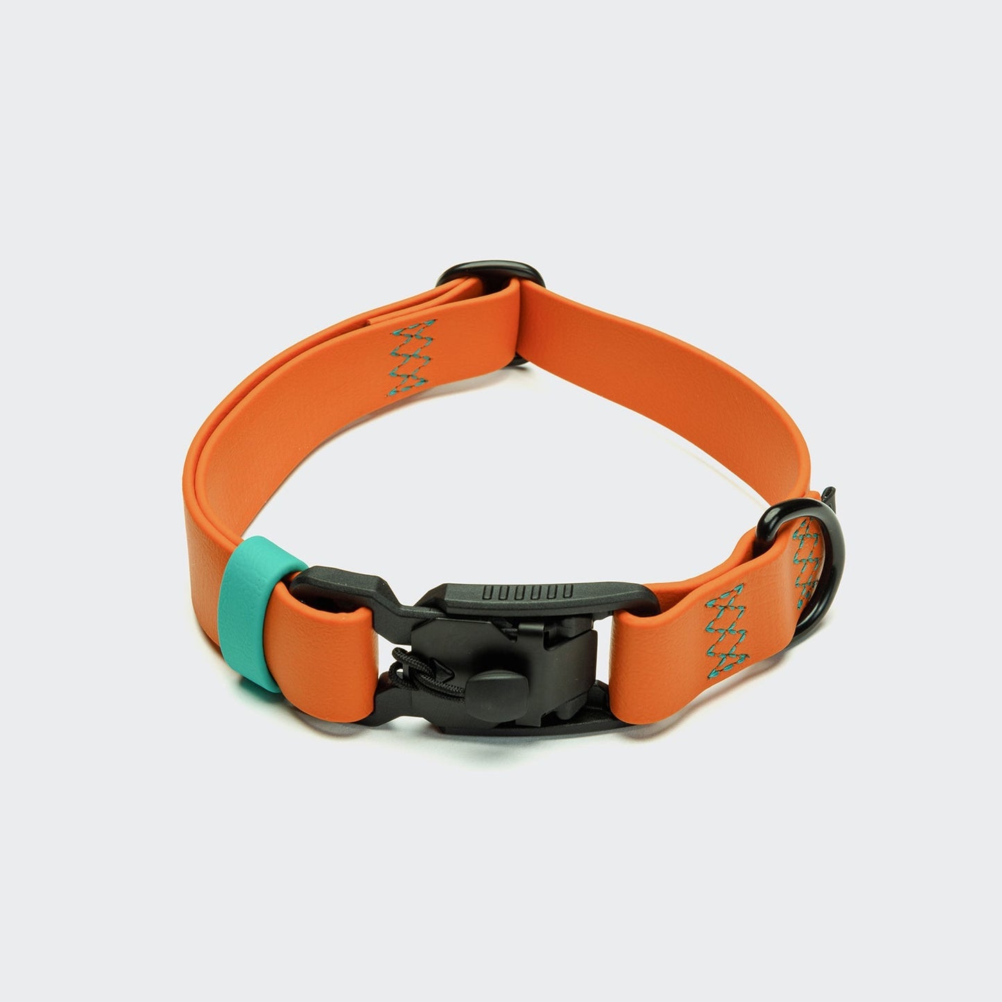 Hundehalsband BioThane Ipanema