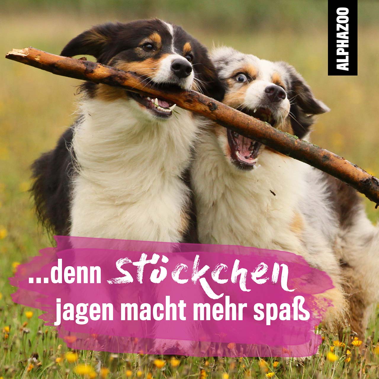MILBHUNTER MILBENSPRAY FÜR HUNDE & KATZEN, STARKES ANTI MILBENMITTEL