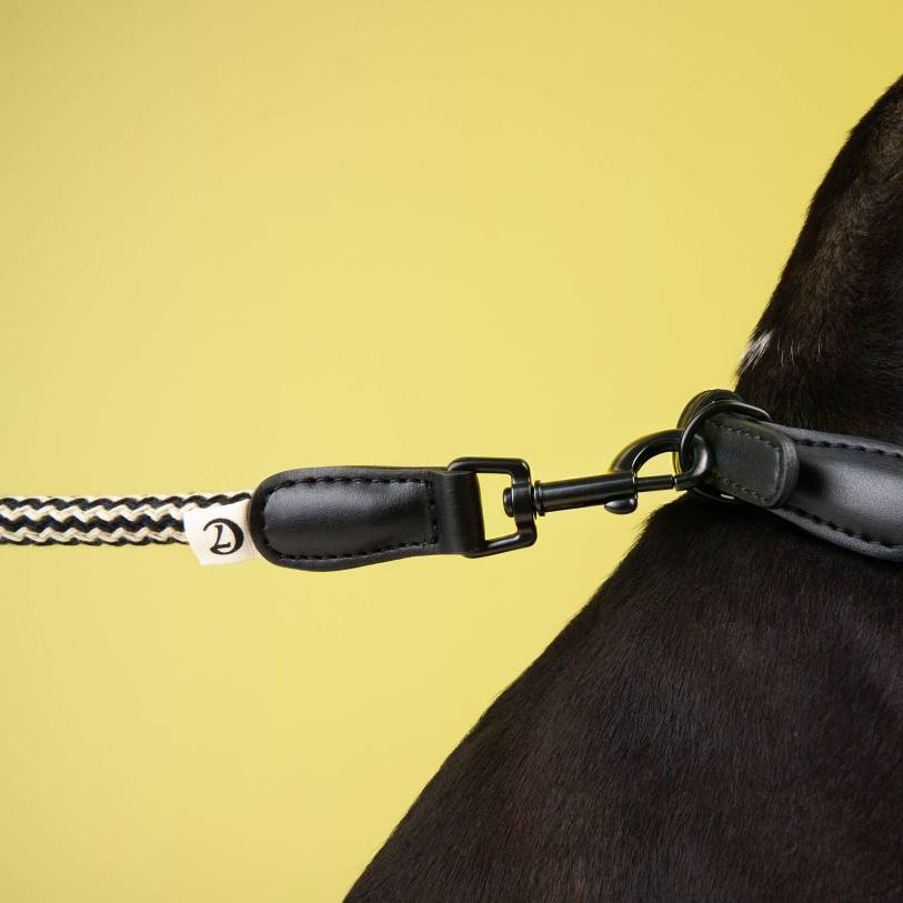 Hundeleine Mauerpark Zickzack Schwarz