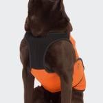 Hunde Kühlweste Iceland Neon Orange
