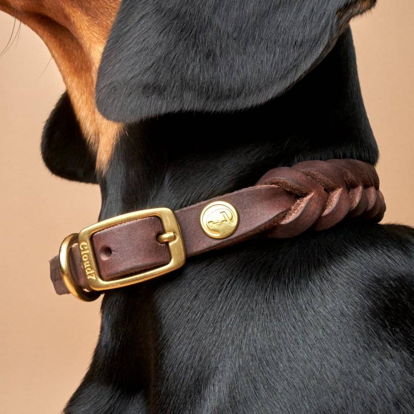 Hundehalsband Central Park Saddle -Gold