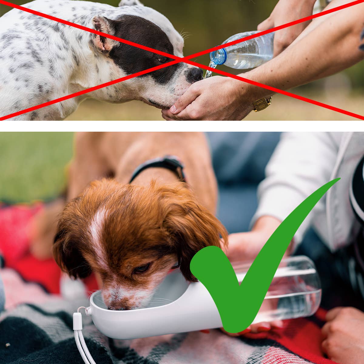 Hundetrinkflasche 350ml