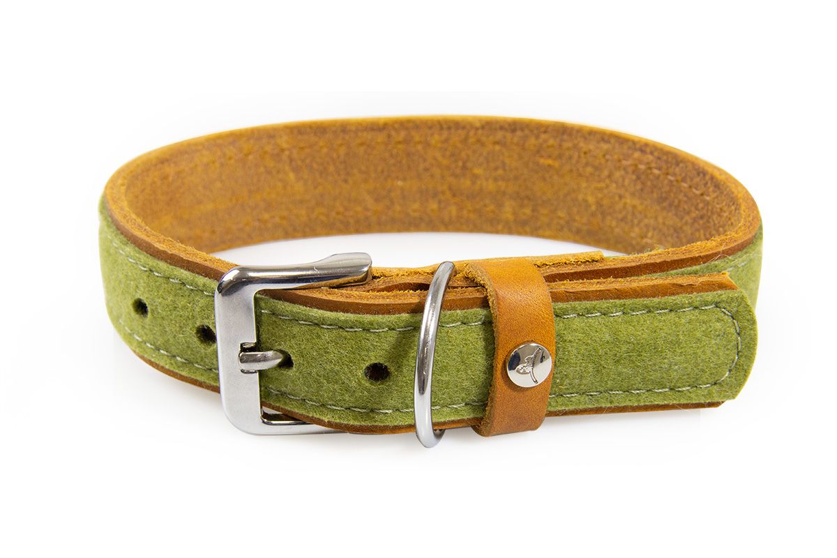 Hundehalsband Norden