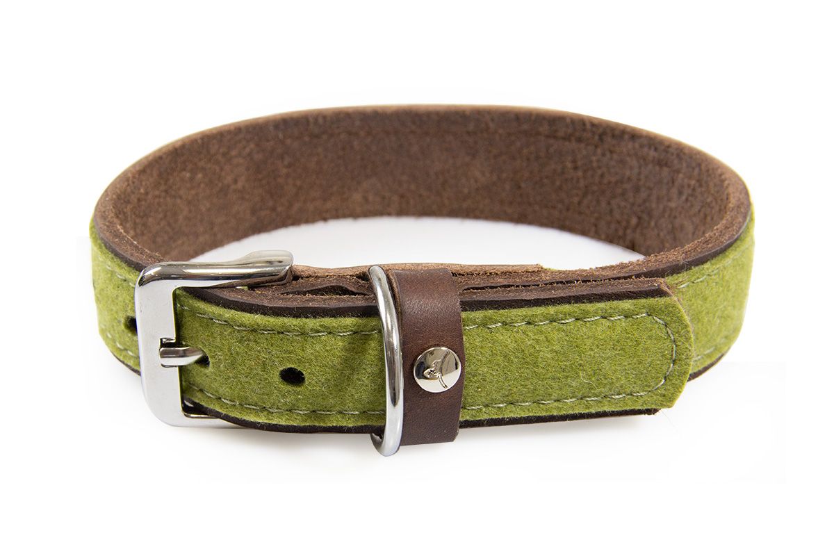 Hundehalsband Norden