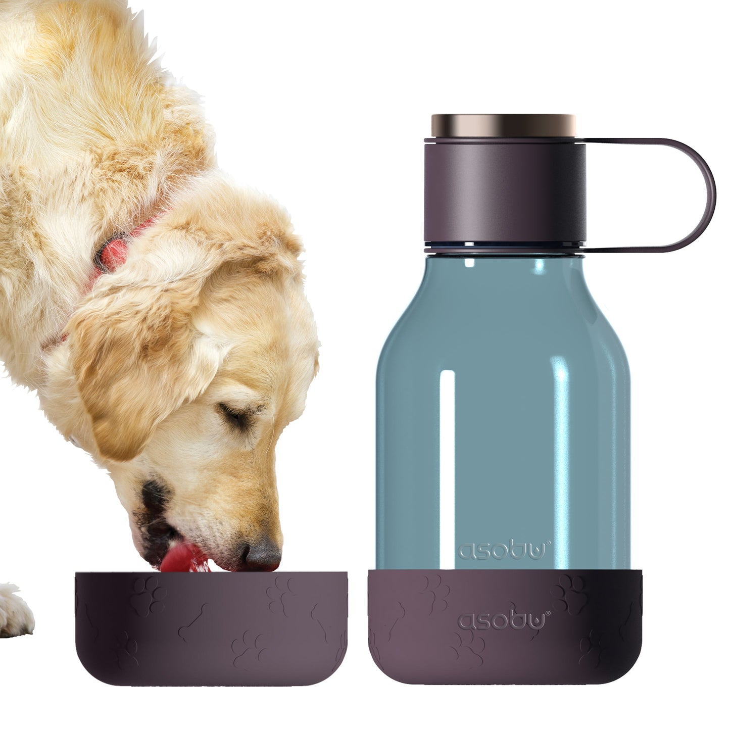 Dog Bowl Bottle Lite