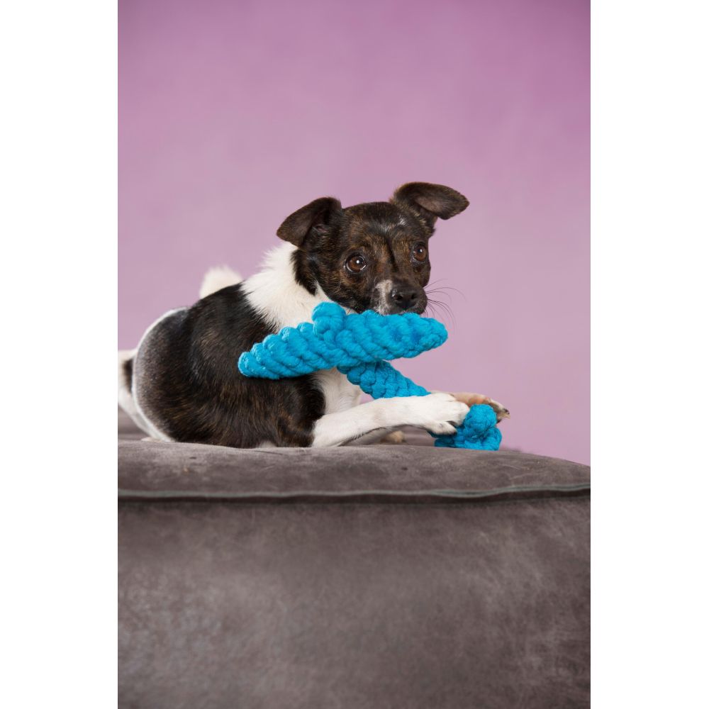 Angela Anker - Kult-Spielzeug für Hunde