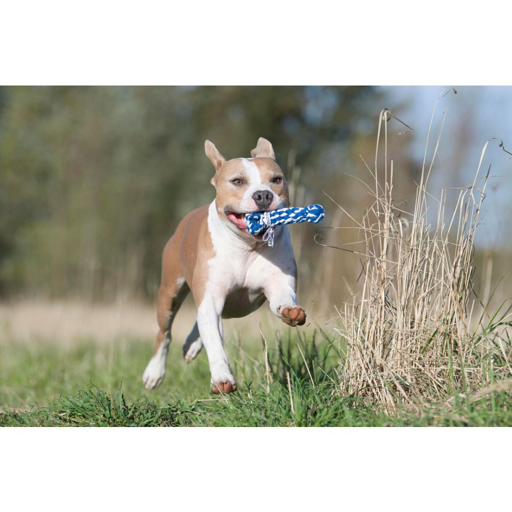 Bonnie Bone - Kult-Spielzeug für Hunde
