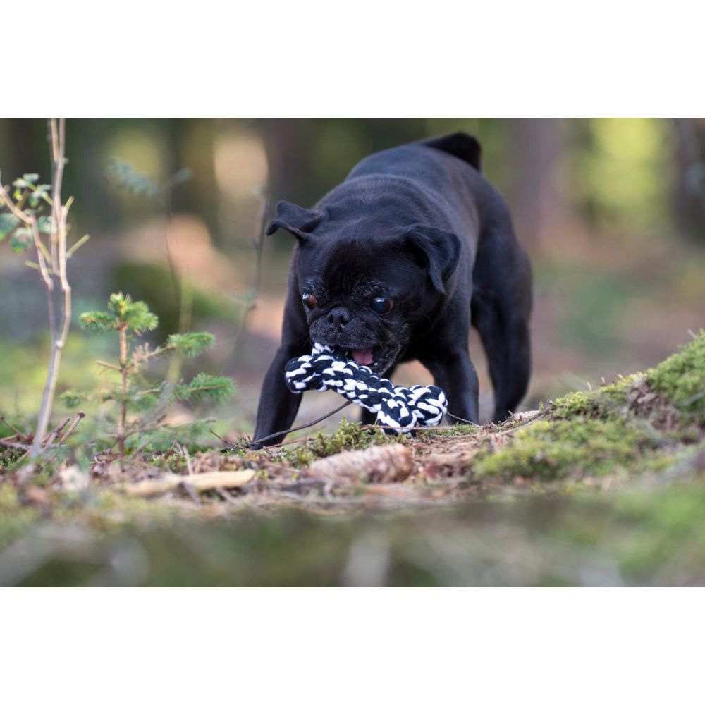 Bonnie Bone - Kult-Spielzeug für Hunde