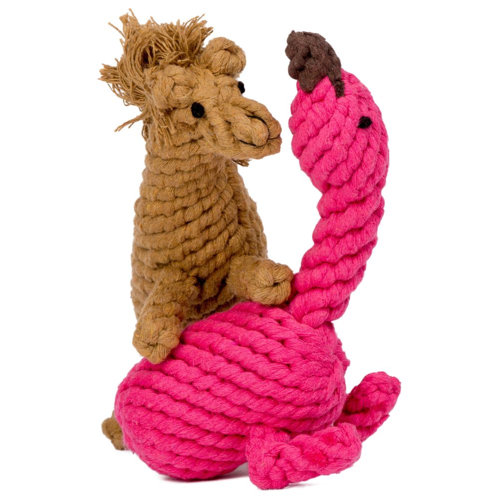 Franzi Flamingo - Kult-Spielzeug für Hunde