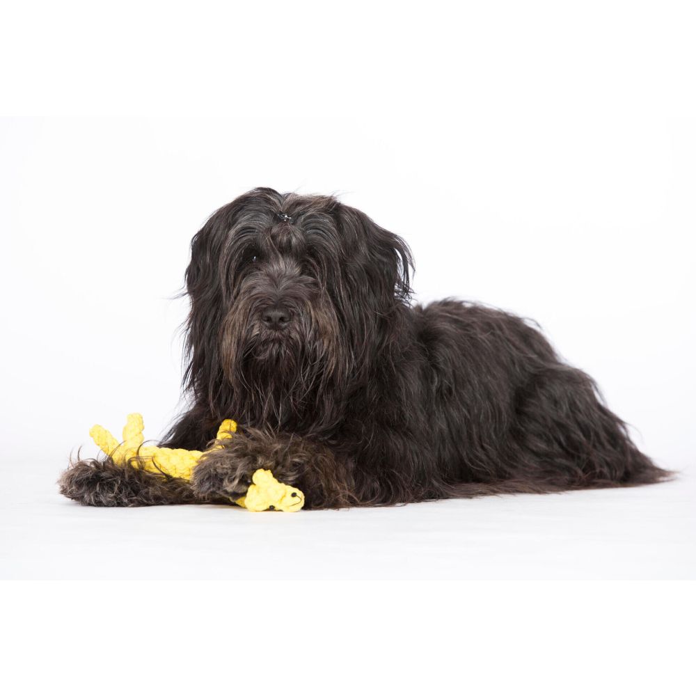 Gretchen Giraffe - Kult-Spielzeug für Hunde