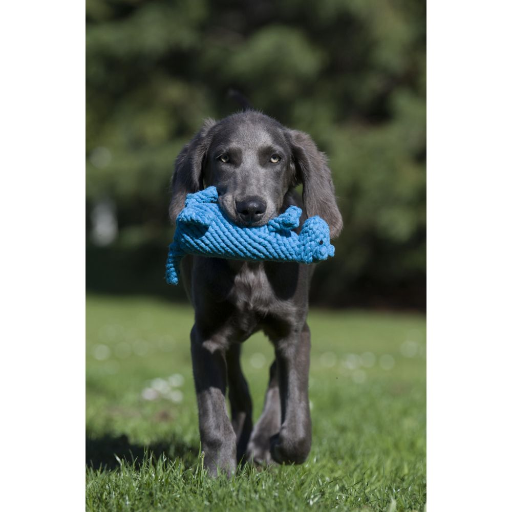 Kurt Känguru - Kult-Spielzeug für Hunde