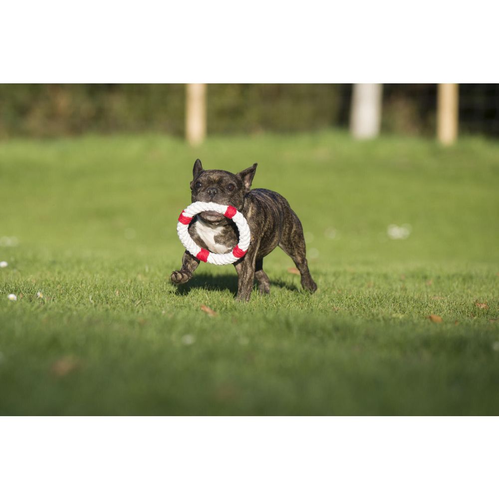 Rita Rettungsring - Kult-Spielzeug für Hunde