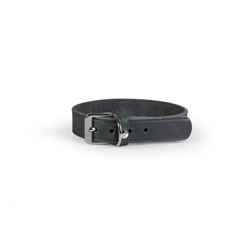 Hundehalsband Weinheim Trend