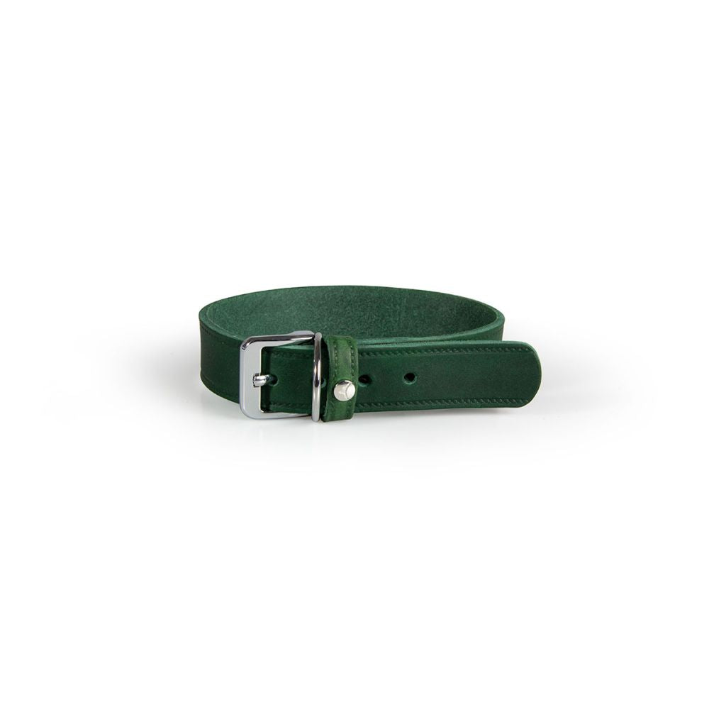 Hundehalsband Weinheim Trend