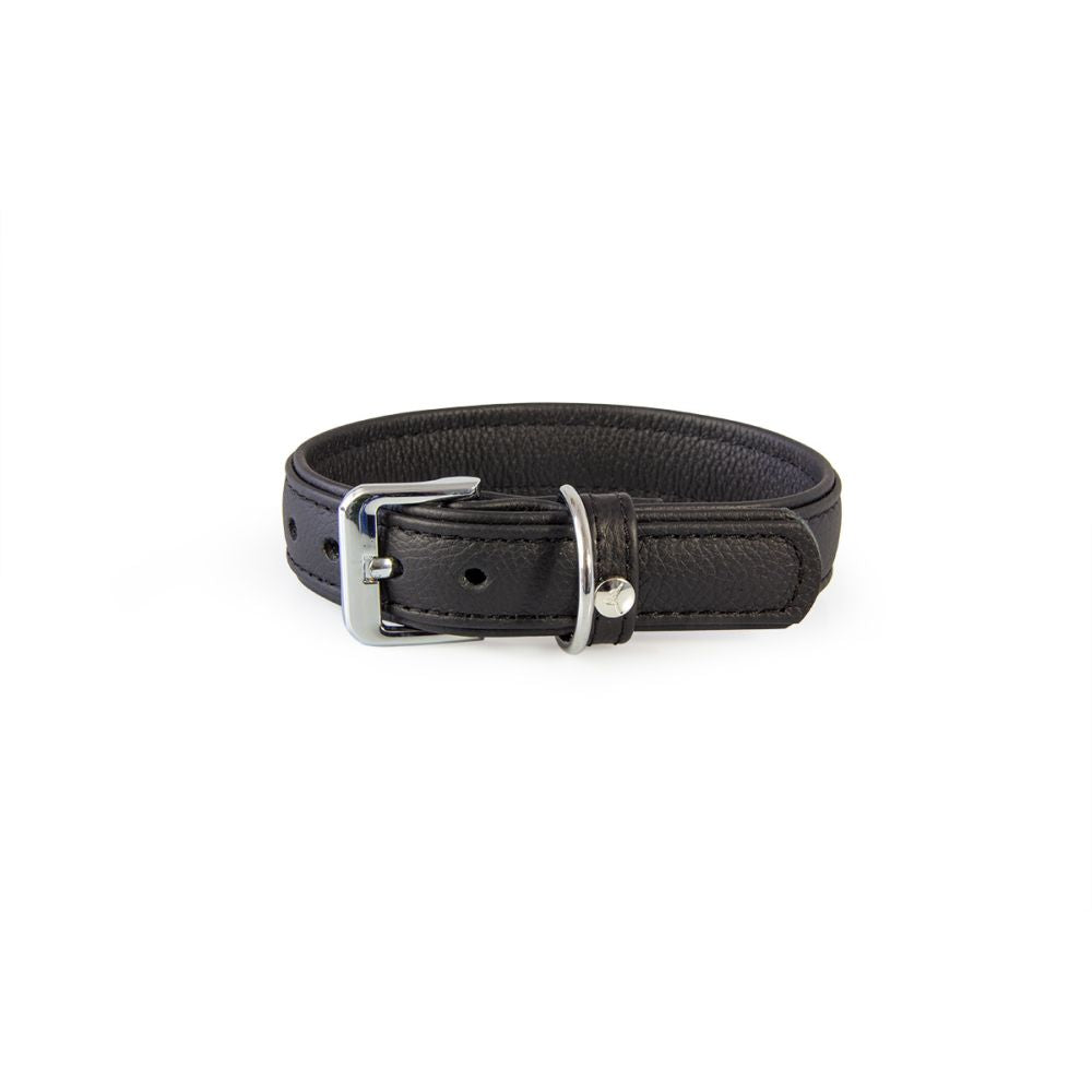Hundehalsband Denver