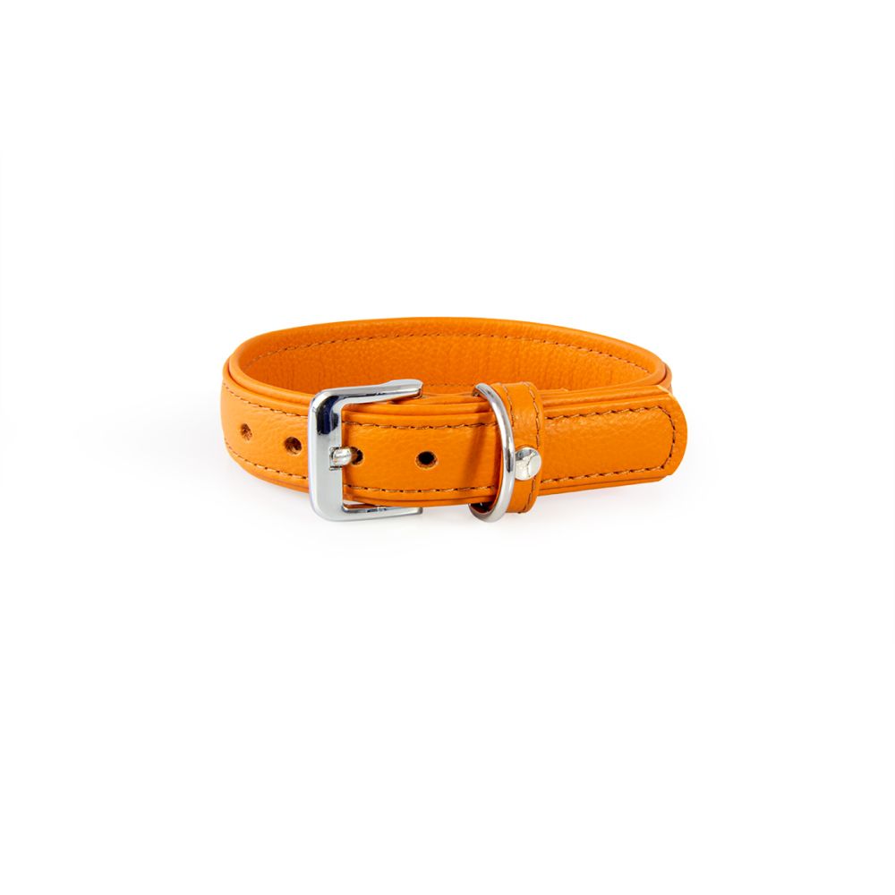Hundehalsband Denver