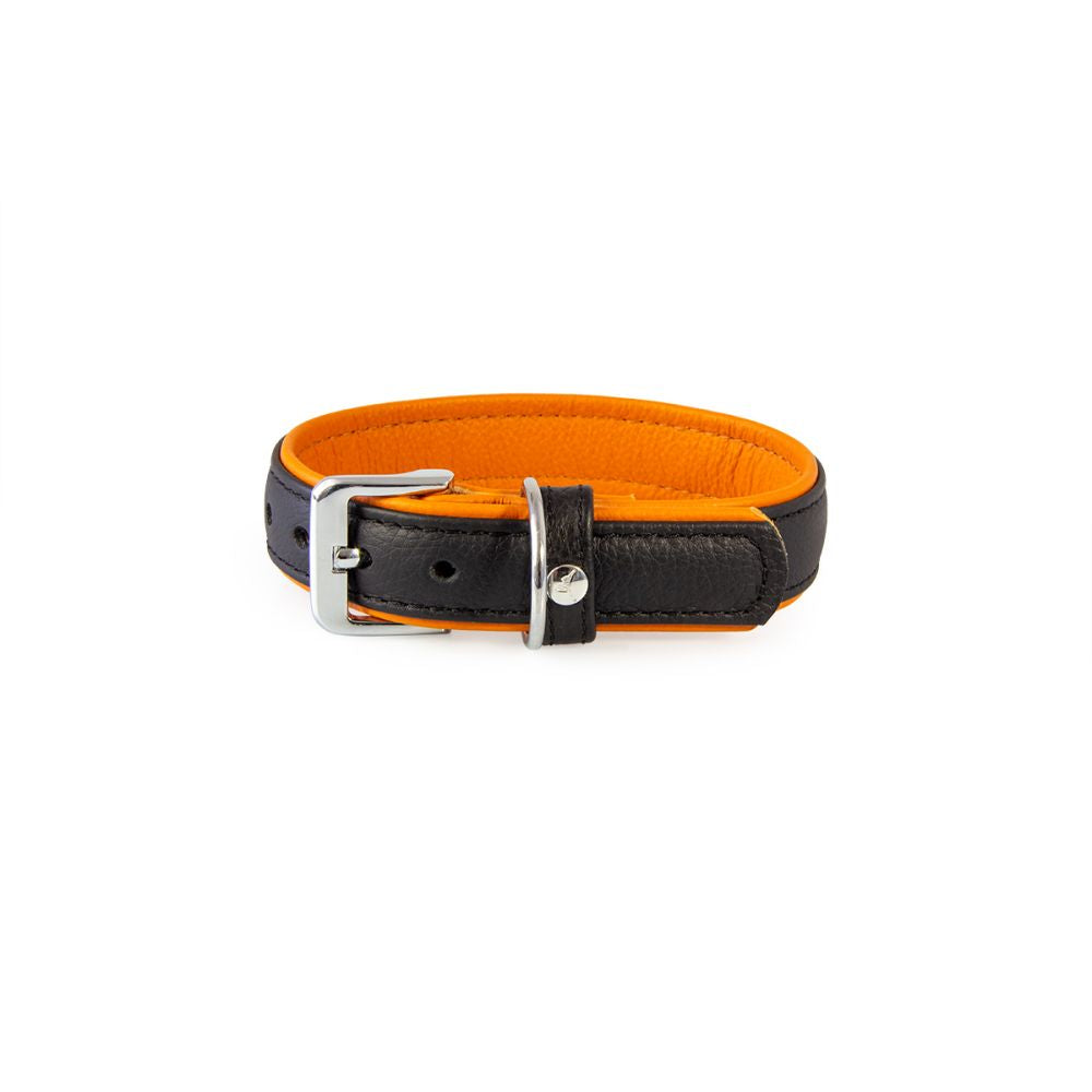 Hundehalsband Denver