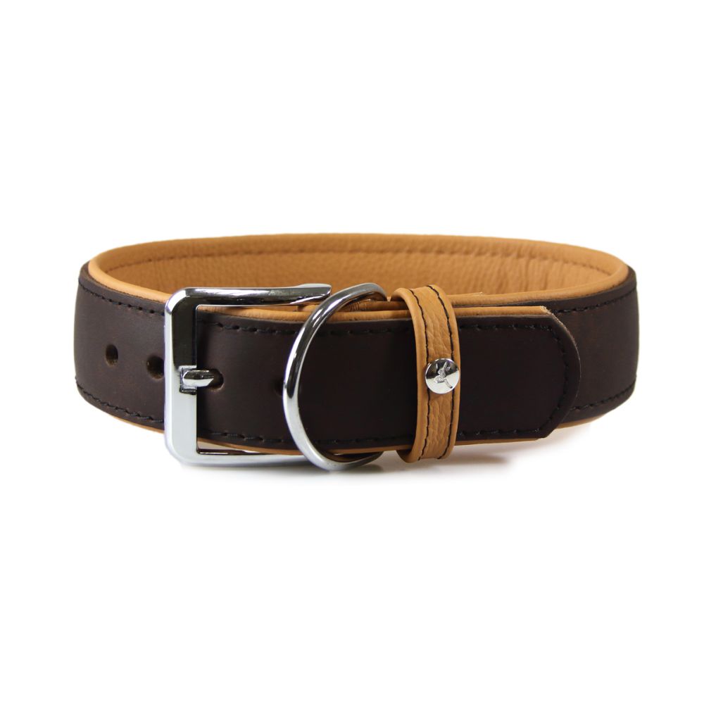 Hundehalsband Vancouver