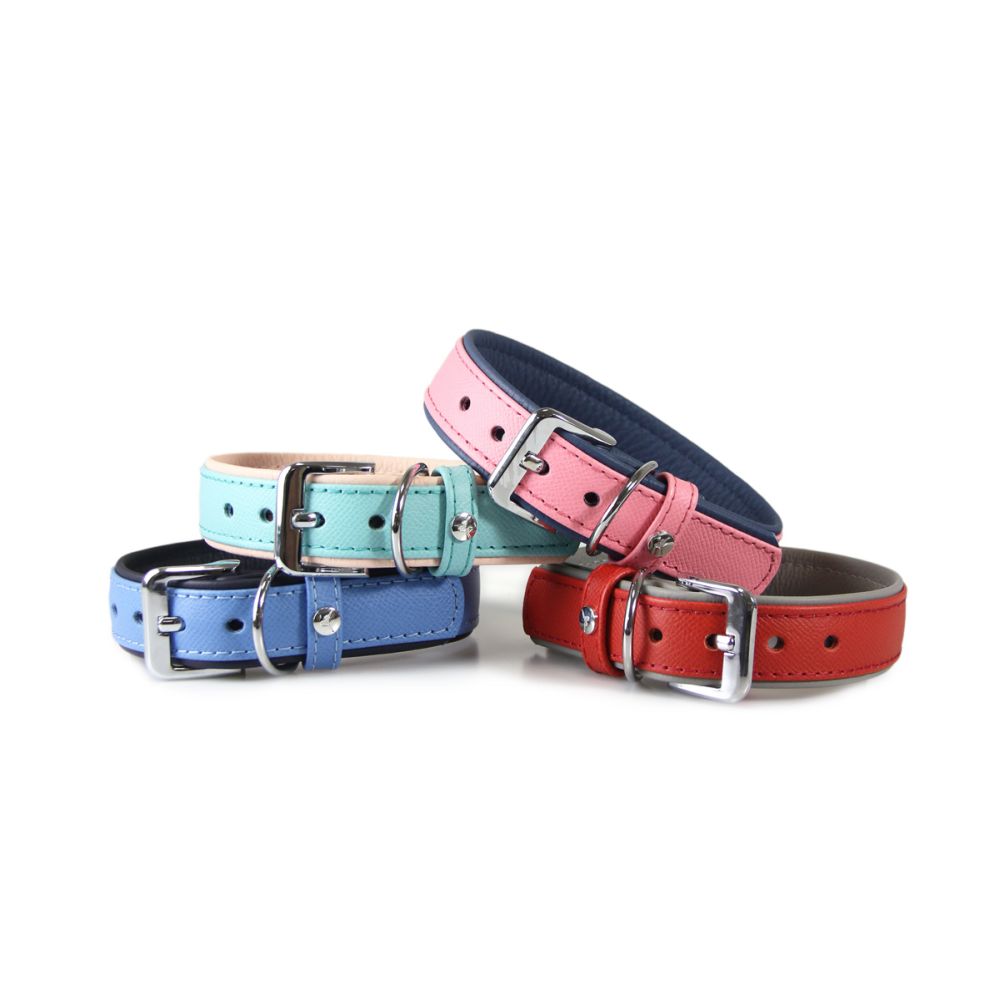 Hundehalsband Firenze