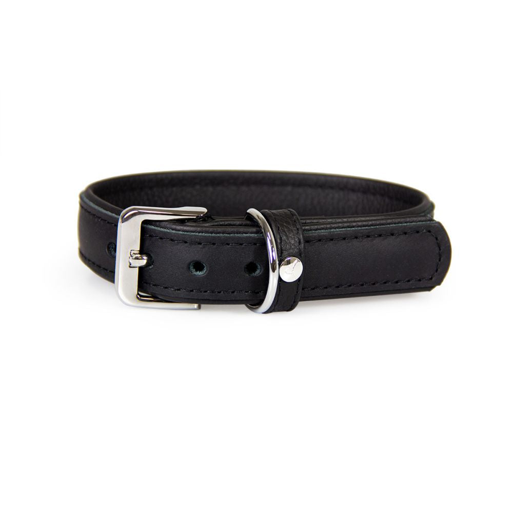 Hundehalsband Vancouver