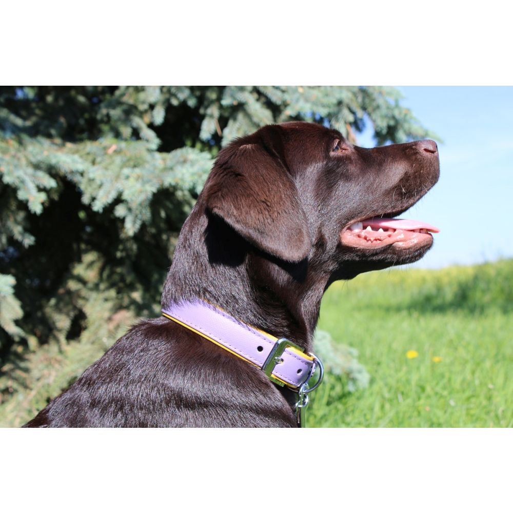 Hundehalsband Firenze