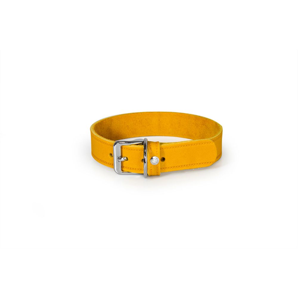Hundehalsband Weinheim Trend