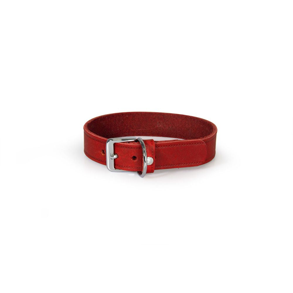 Hundehalsband Weinheim Trend