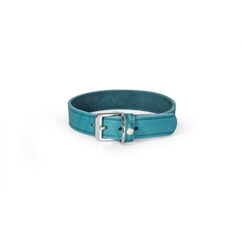 Hundehalsband Weinheim Trend
