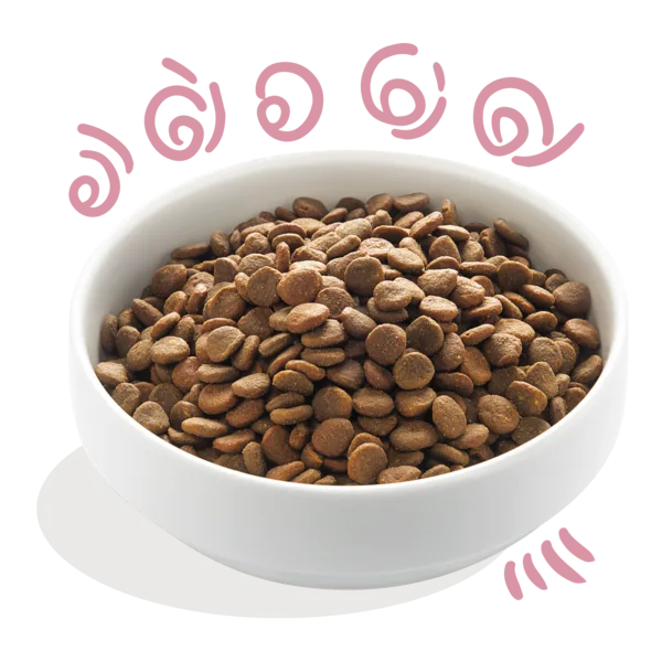 Frisches Freilaufente & -Huhn für Welpen