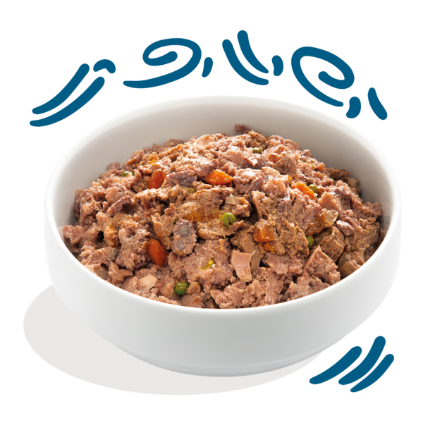 Bio Huhn & Fisch für Welpen