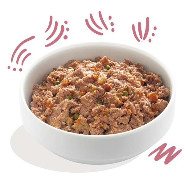 Ente & Huhn für Welpen