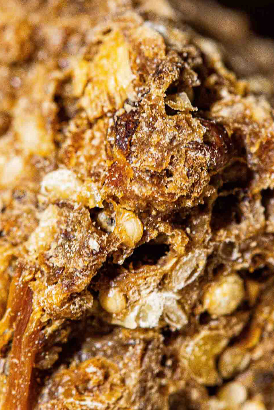 Der Maximilian - Fleisch & Müsli-Riegel - Superfood für Superdogs