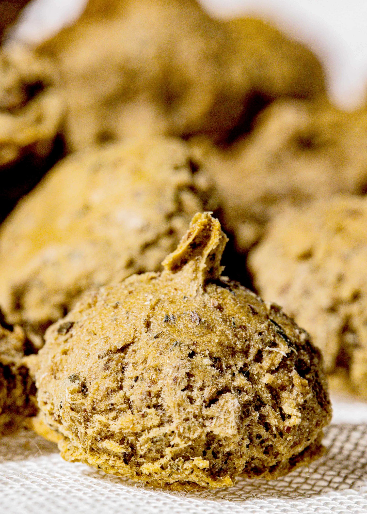Der Richard - mit frischem Rindfleisch, Sellerie und Fenchel