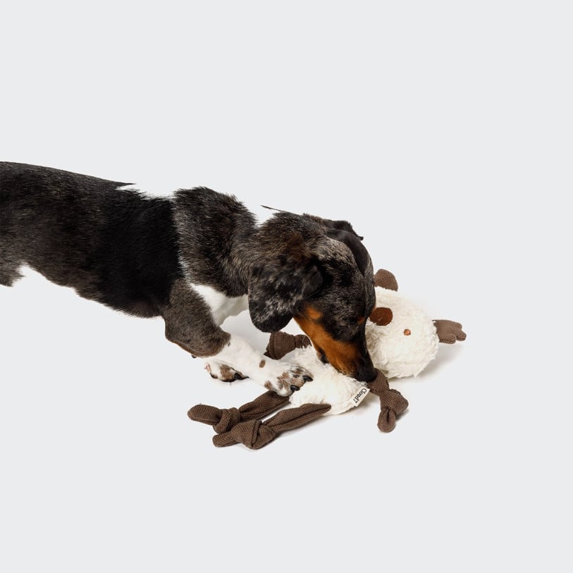 Hundespielzeug Koala Lilly