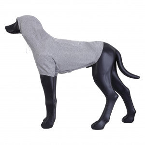 Hunde Sweat-Shirt Sierra, hellgrau