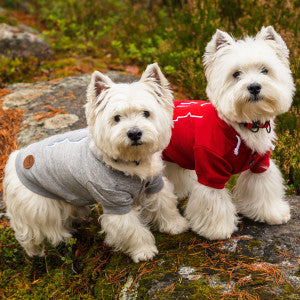 Hunde Sweat-Shirt Sierra, hellgrau
