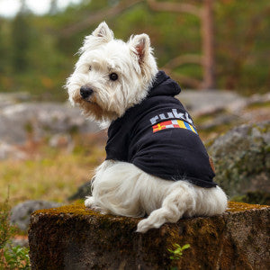 Hunde Sweat-Shirt Sierra, schwarz