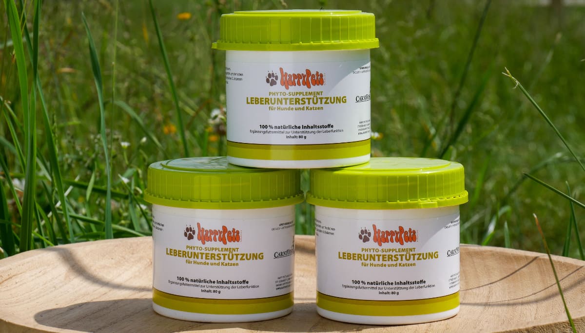 Phyto Supplement Leber