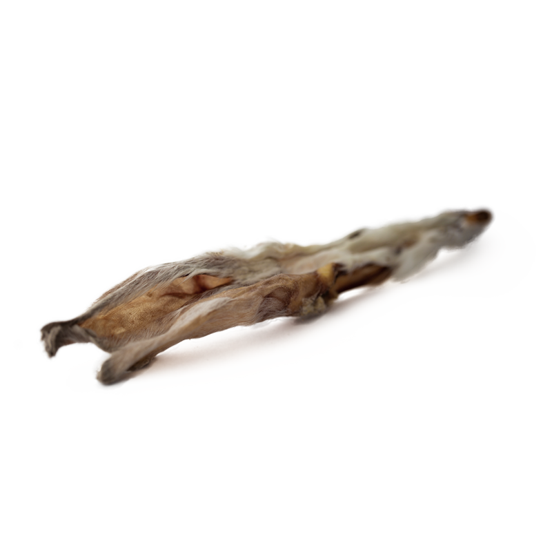 Kaninchen Ohr mit Fell, getrocknet