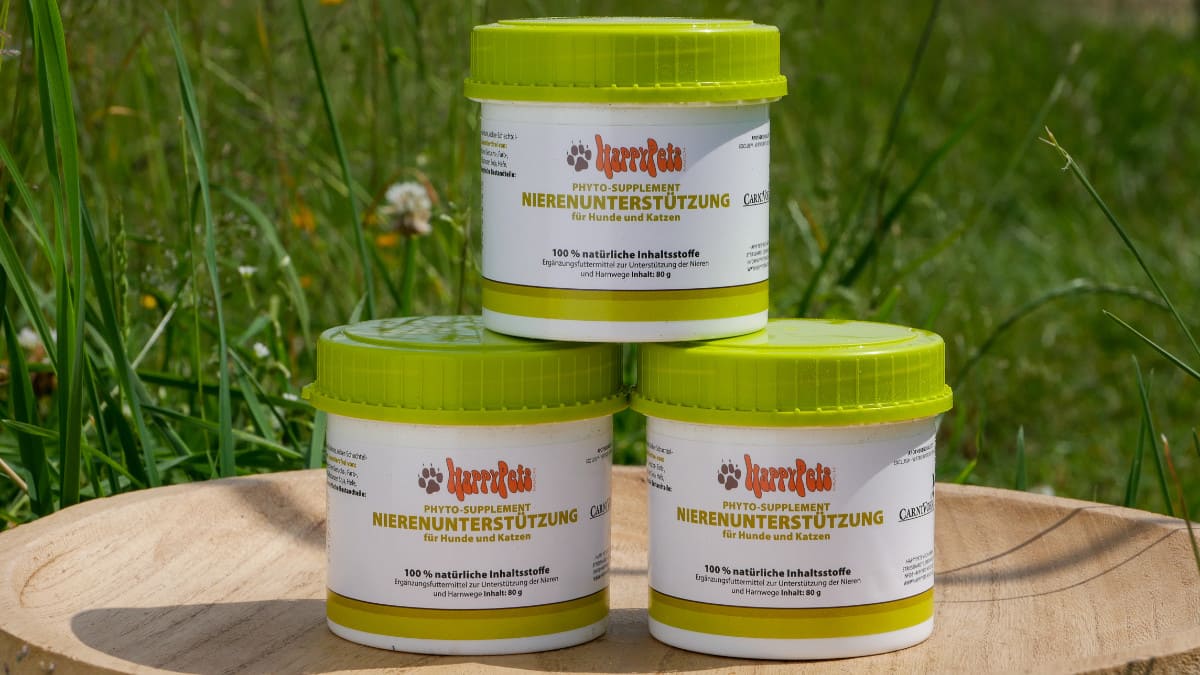 Phyto Supplement Nierenunterstützung