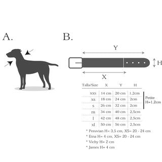 Halsband Peyote Blue