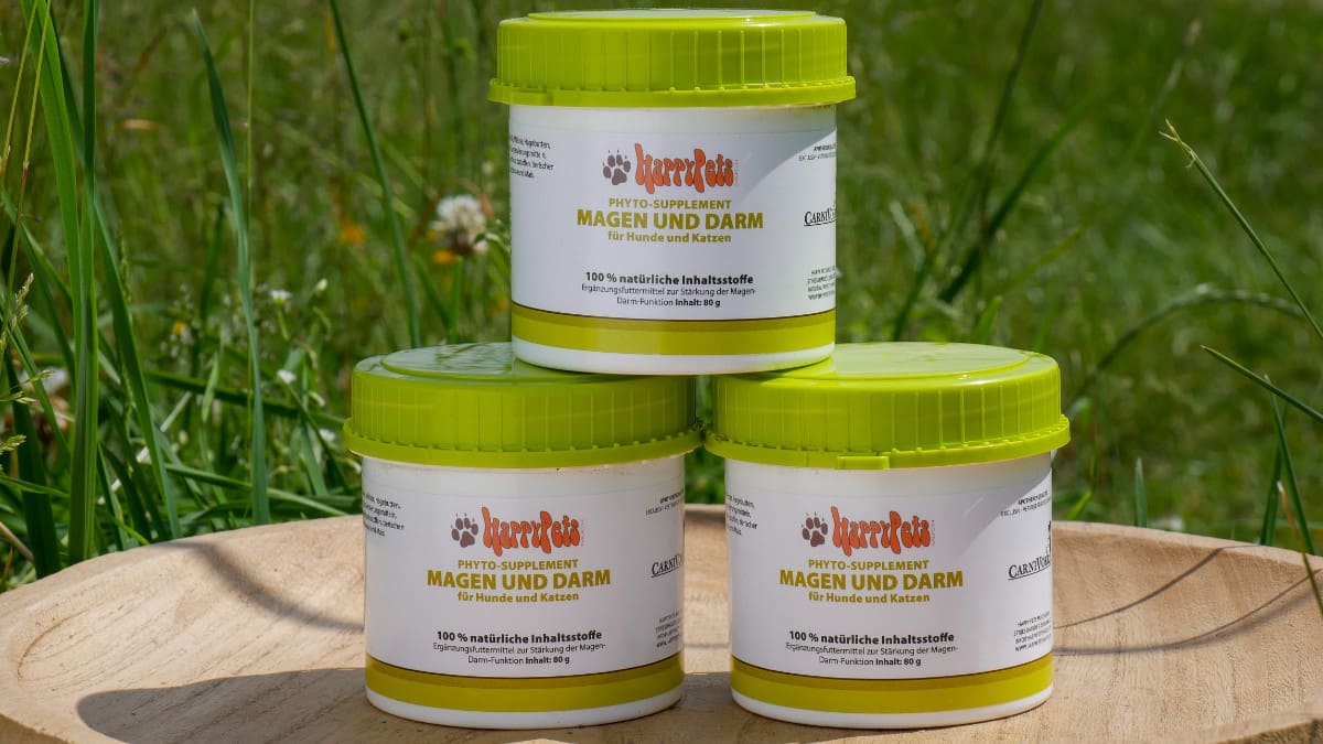 Phyto Supplement Magen und Darm