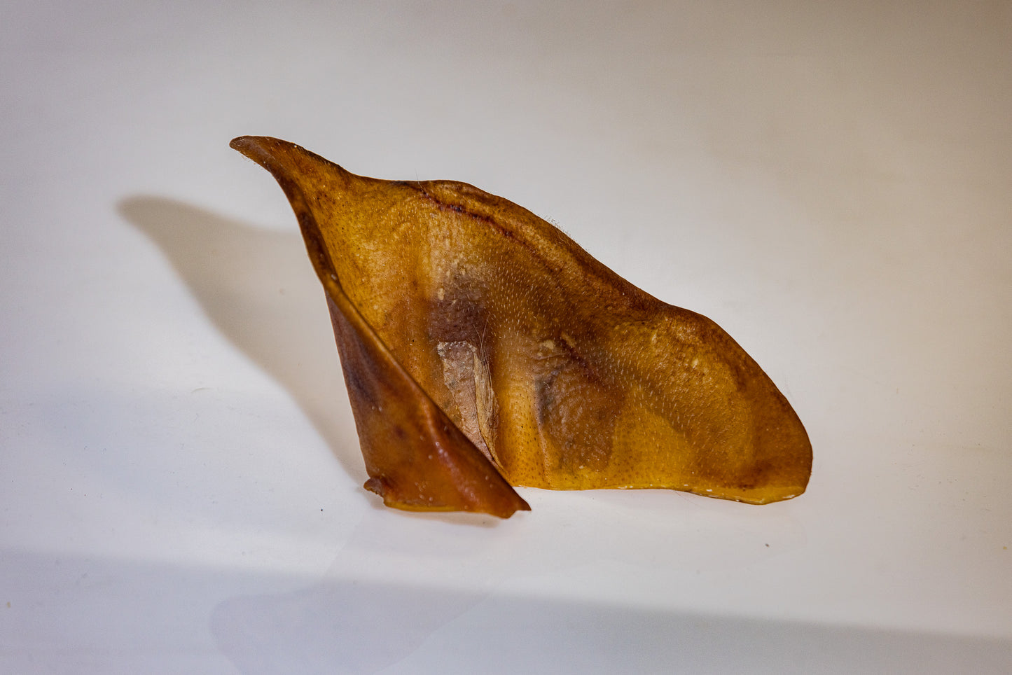 Schwein Ohr Flap, getrocknet